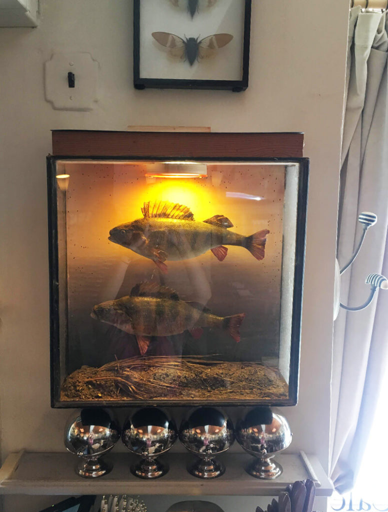 田舎町のフレンチレストランにお邪魔した気分になれる素朴な空間で朝食を&hellip;カフェクルーニー（cafe cluny） - レストラン, モーニング, フレンチ, グルメ, ウエストヴィレッジ, アボカドトースト, Breakfast