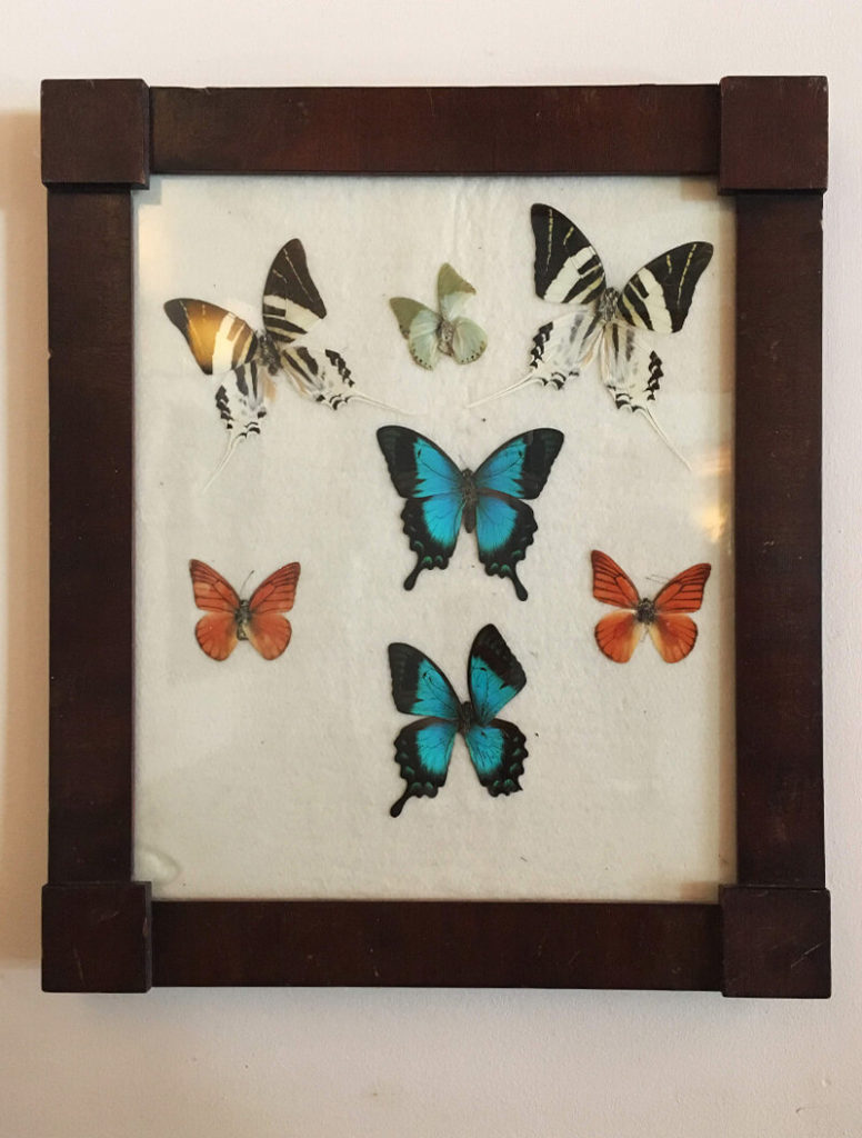 田舎町のフレンチレストランにお邪魔した気分になれる素朴な空間で朝食を&hellip;カフェクルーニー（cafe cluny） - レストラン, モーニング, フレンチ, グルメ, ウエストヴィレッジ, アボカドトースト, Breakfast