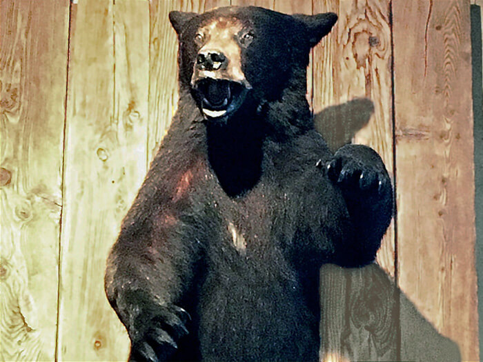 天使のような微笑みの美女を酒の肴に今宵もハッピーアワースタートです！トム＆ジェリーズ（Tom & Jerry's） - パブ, ハッピーアワー, バー, トム＆ジェリーズ, イーストヴィレッジ, Happy Hour, Bar