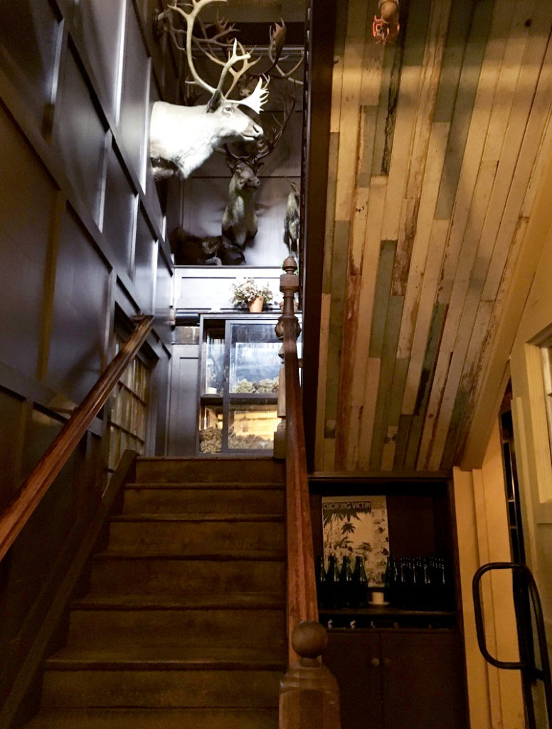 生命のパワーみなぎるレストラン、フリーマンズ(Freemans) 生命のパワーみなぎるレストラン、フリーマンズ(Freemans) -