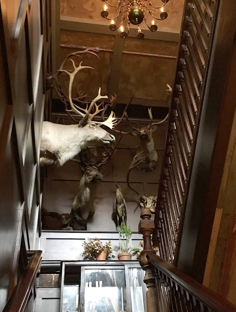 生命のパワーみなぎるレストラン、フリーマンズ(Freemans) 生命のパワーみなぎるレストラン、フリーマンズ(Freemans) -